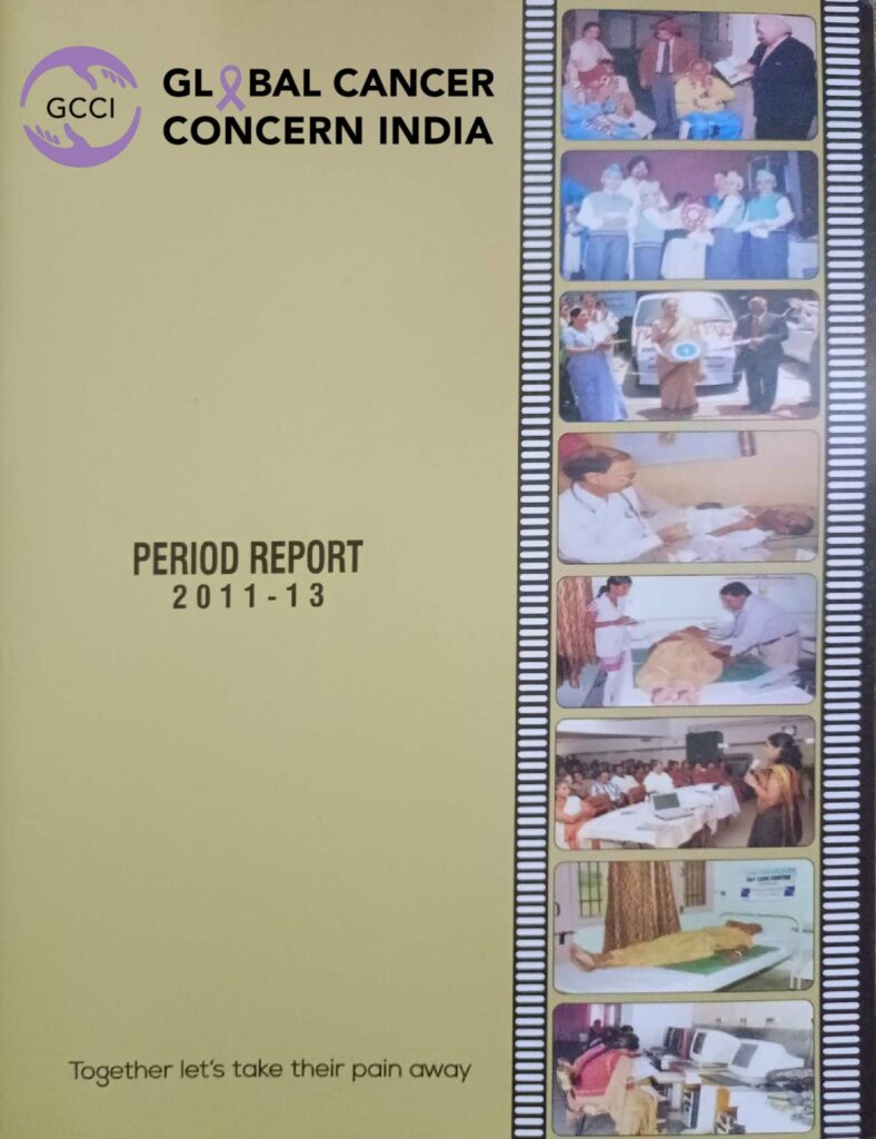Periodic Report 2011-13